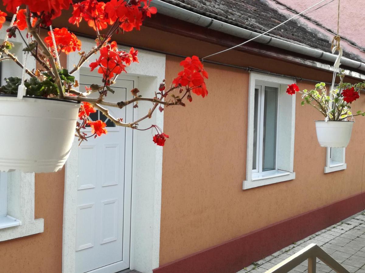 Casa Anastasiei Brasov Luaran gambar
